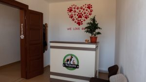 Receptia din cabinetul veterinar